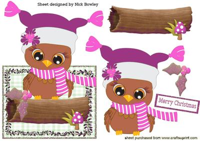 Cute Owl in Pink Hat & Scarf Over the Edge Card