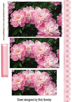 Pretty Pink Peonies with Lace Border Pyramids