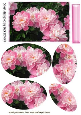Pretty Pink Peonies with Oval Pyramids