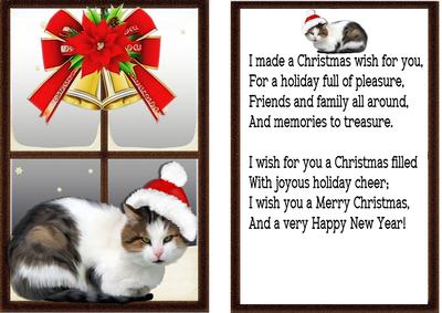 Card & Insert of Cat in Santa Hat in the Window
