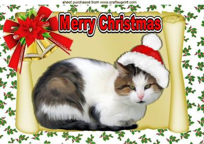 Kitty in Santa Hat on a Scroll with Bow A4