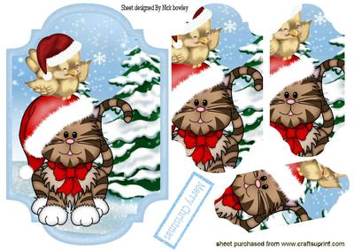 Robin with Kitty in Santa Hats in the Snow Bracket Pyramids