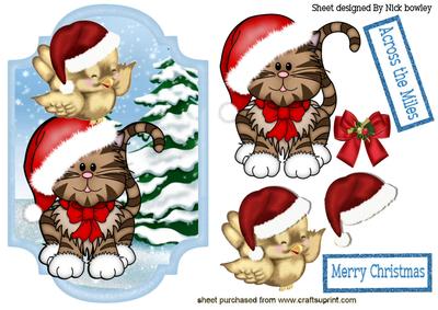 Robin with Kitten in Santa Hats