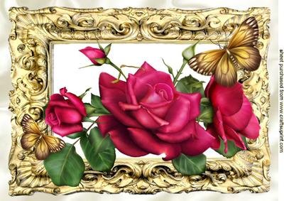 Celebration Pink Roses & Butterflies in Ornate Frame A4