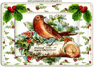 Little Robin on a Log with Holly A4