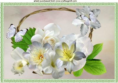 Pretty Basket of White Flowers and Butterflies A4