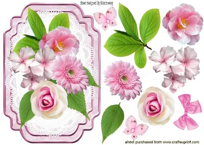 Pink Shades of Flowers, Roses, on Lace with Butterflies