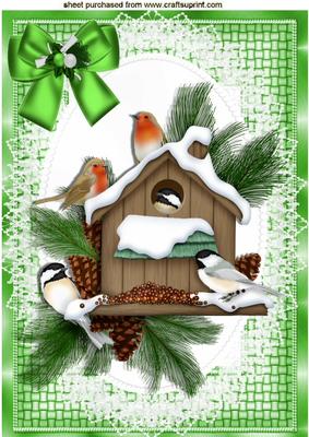 Winter Birds & Robins in the Snow A4