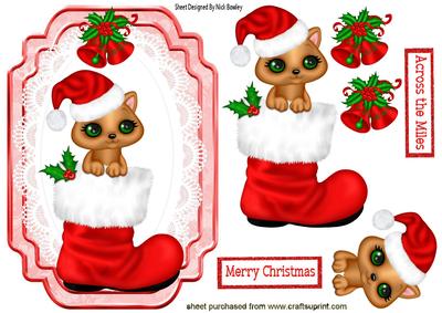Cute Kitty in Santa Boot with Bells on Lace