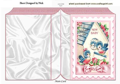 A Welcome to the New Baby! Little Birds Folded Book