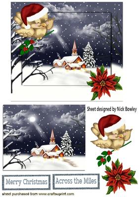Moon Light in the Snow,church with Robin
