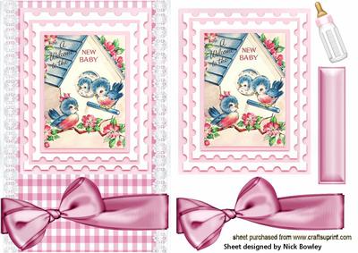 Welcome Baby Girl, and Baby Birds Card & Topper