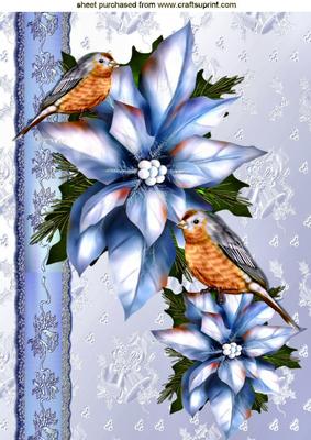 Robins and Pretty Blue Poinsettias A4