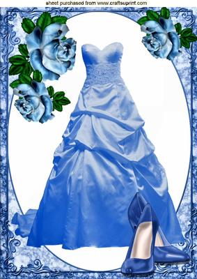 Pretty Blue Party Dress with Shoes and Roses A4
