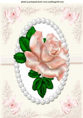 Single Blush Pink Rose with Bow and Lace A4