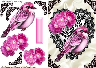 Pink Bird of Paradise on Black Lace Heart
