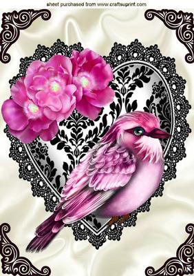 Pink Bird of Paradise on Black Lace Heart A4