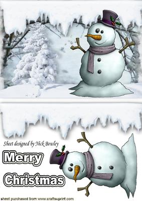 Snowman in Winter Wonderland