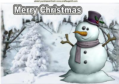 Snowman in Winter Wonderland A4