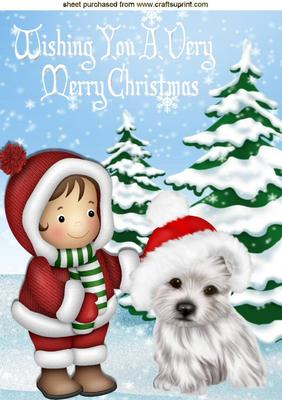 Small Child with Westie in Santa Hat in the Snow A4