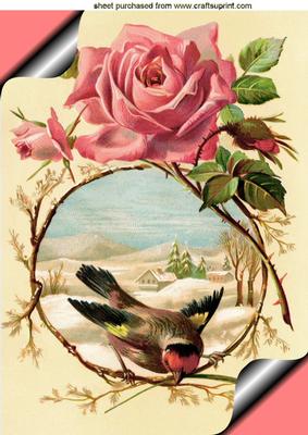 Pretty Bird with Rose in Snow Scene A4