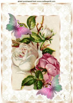 Roses and Lace with Butterflies A4