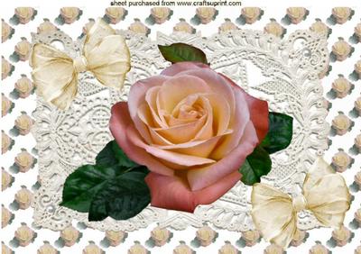 Pretty Shades of Peach Rose , on Ecru Vintage Lace A4