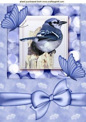 Pretty Blue Jay, with Butterflies and Bow A4