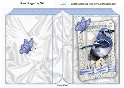 Pretty Blue Jay, with Butterflies, in a Frame, Folded Book