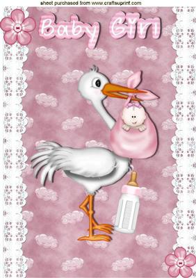 Stork Carrying Sweet Baby Girl,a4