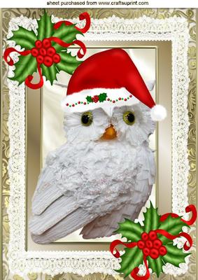 Lovely Snow Owl in Santa Hat with Holly & Berries A4