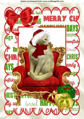 Princess Pussy Cat in a Santa Hat Sitting on a Chair A4