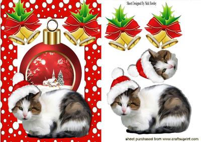 Cat with Santa Hat and Winter Scene Bauble