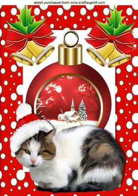 Cat with Santa Hat and Winter Scene Bauble A4
