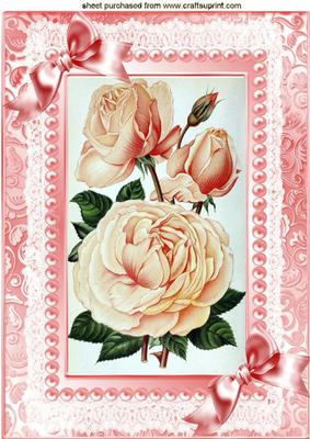 Peach Roses, Pink Lace with Pearls & Bows A4