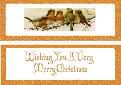 Gorgeous Little Robins on a Branch All in a Row Dl Insert