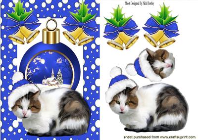 Kitty in Blue Santa Hat, with Snowscene Bauble