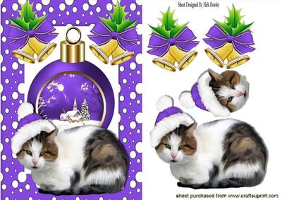 Kitty in Purple Santa Hat, with Snowscene Bauble