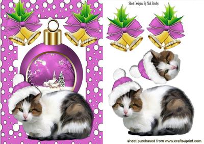 Kitty in Pink Santa Hat, with Snowscene Bauble