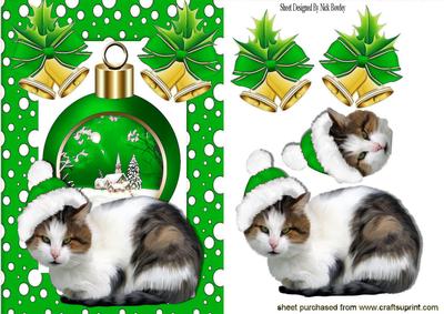 Kitty in Green Santa Hat, with Snowscene Bauble