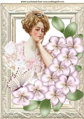 Pretty Vintage Lady with Flowers and Butterflies A4