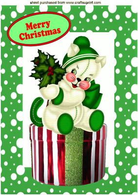 Christmas Kitty in Green with Holly in Snow Frame A4