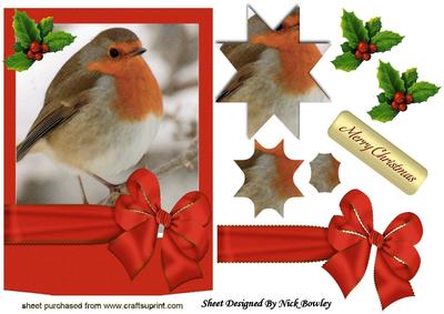 Lovely Robin in a Frame with Big Bow Star Pyramids