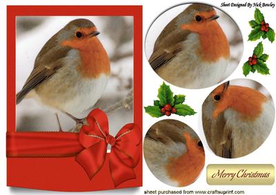 Lovely Robin in a Frame with Big Bow Oval Pyramids