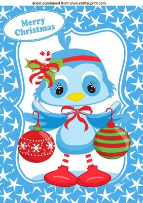 Little Blue Owl with Christmas Baubles in Star Frame A4