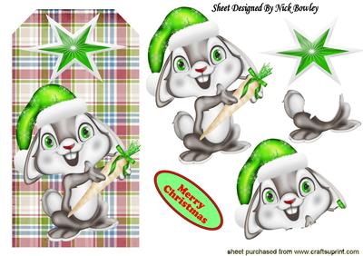 Cute Christmas Bunny in Santa Hat on a Tartan Tag