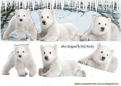 Cute White Polar Bears Playing in the Snow Dl