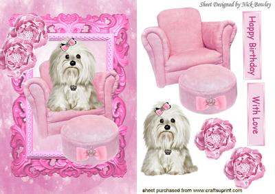 Cute Little Westie Sitting in Pink Arm Chair, with Roses