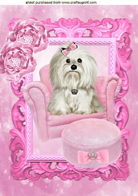 Cute Little Westie Sitting in Pink Arm Chair, with Roses A4