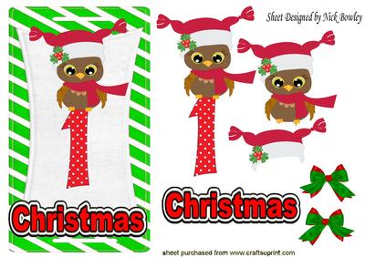Baby's 1st Christmas with Cute Little Owl in Santa Hat